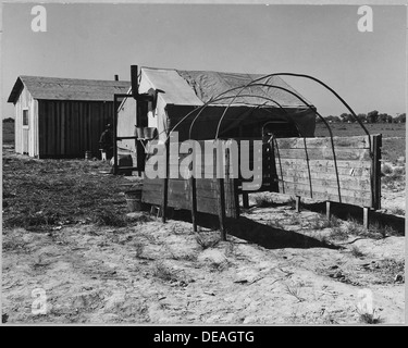 McNews, près de Bakersfield, comté de Kern, en Californie. Dans McNews subdivision. La famille de l'Ouest, quatre rela . . . 521643 Banque D'Images