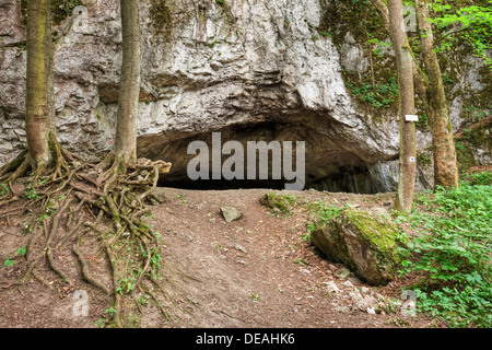 Pekarna, grotte monument naturel national, Moravsky Kras, le Karst morave, région de la Moravie du Sud, République Tchèque, Europe Banque D'Images