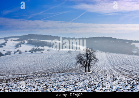 Paysage d'hiver près de Knezdub, la Bile Karpaty, montagnes des Carpates blanches, la région protégée de Moravie du Sud Banque D'Images