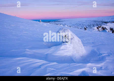 Matin d'hiver sur l'Zlate Navrsi, Parc National de Krkonose, Giant Mountains National Park, East Bohemia, République Tchèque, Europe Banque D'Images