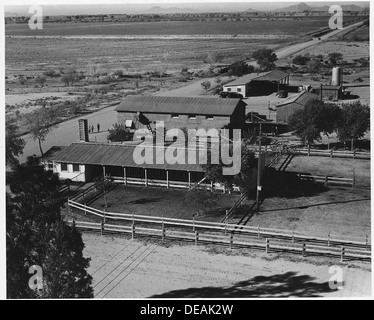 Près de Coolidge, comté de Pinal, Arizona. Les bâtiments agricoles et les champs environnants de la Casa Grande g . . . 5536 Banque D'Images