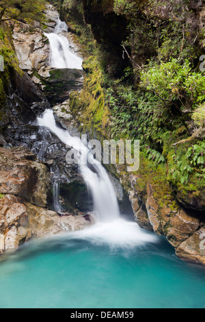 Cascade de Milford Sound road, le Parc National de Fiorland, île du Sud, Nouvelle-Zélande Banque D'Images