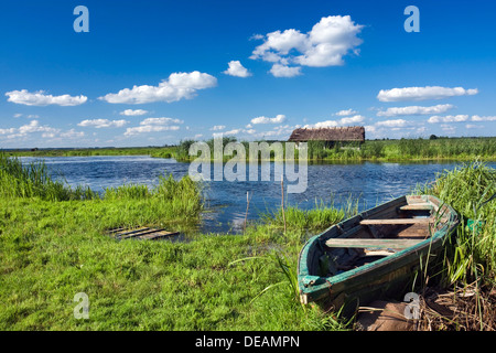 Voile et Narew River près de Waniewo Narwianski village, Parc National, la Pologne, l'Europe Banque D'Images