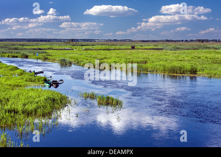 Narew River près de Waniewo Narwianski village, Parc National, la Pologne, l'Europe Banque D'Images