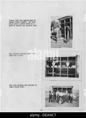 Cette collection de photographies présente des garçons de l'école Walker River, Nevada, travaillant sur des projets d'arts et d'Aggies indiens, offrant un aperçu des activités éducatives et de l'expression culturelle à l'école. Banque D'Images