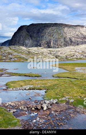 Bajep Tjuorvvomoajvve, paysage près de Rago National Park, comté de Nordland, Norvège, Scandinavie, Europe Banque D'Images