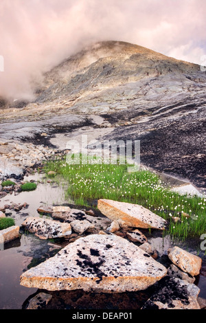 Paysage à Rago massiv à Rago National Park, comté de Nordland, Norvège, Scandinavie, Europe Banque D'Images