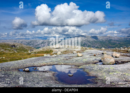 Paysage en Rago National Park, comté de Nordland, Norvège, Scandinavie, Europe Banque D'Images