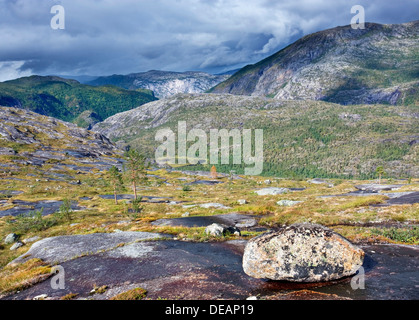 Storskogdalen vallée, Rago National Park, comté de Nordland, Norvège, Scandinavie, Europe Banque D'Images