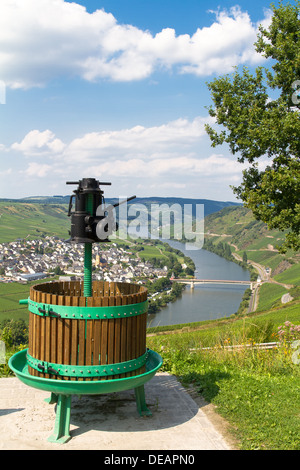 Moselle, vallée de la Moselle et de Leiwen, Bernkastel-Wittlich, Rhénanie-Palatinat, Allemagne Banque D'Images