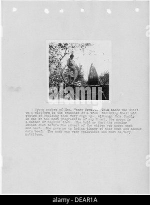 Une photographie de caches de glands, recueillie par MRS Henry Towatt en Californie, avec un texte d'accompagnement d'un rapport d'enquête sur la région. Les caches reflètent les pratiques traditionnelles de stockage des aliments. Banque D'Images