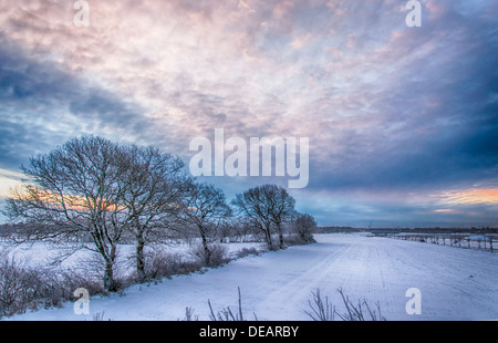 Lever du soleil s'allume neige fraîchement tombée au sol dans la campagne la création d'une féerie d'hiver. Banque D'Images