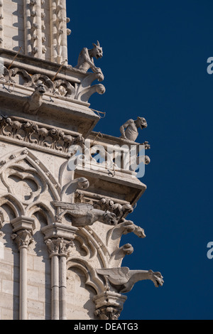 Gargouilles et chimères sur la cathédrale gothique, la Cathédrale Notre Dame, à Paris, France Banque D'Images