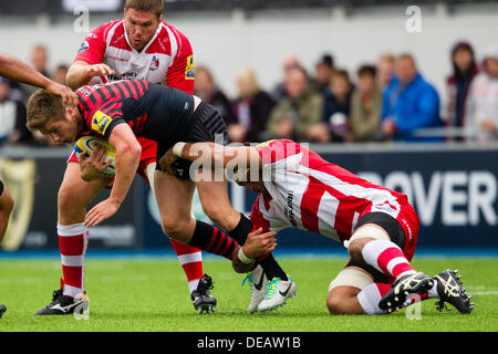 Londres, Royaume-Uni. 15 septembre 2013. Action de Sarrasins contre Gloucester lors de l'Aviva Premiership Round 2 match joué à Allianz Park, London Crédit : Graham Wilson/Alamy Live News Banque D'Images