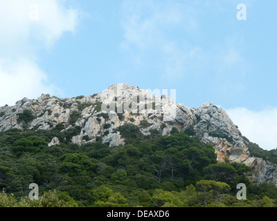 L'île de Porquerolles, Var, Provence-Alpes-Cote d'Azur, France Banque D'Images