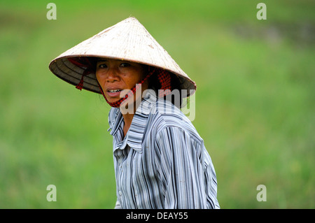 Vietnamiens féminins travaillant dans une rizière domaine portant le Chapeau conique traditionnel pour la protection contre le soleil et l'ombre. Banque D'Images