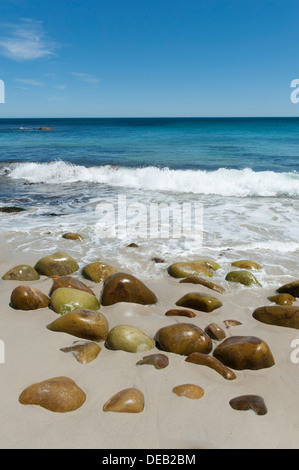 Plage de rochers polis par la mer océan dans l'arrière-plan, Victoria Road au sud de Cape Town, Afrique du Sud Banque D'Images