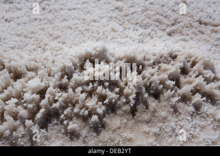 Bassin de Badwater Death Valley en Californie macro textures sel National Park Banque D'Images