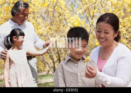 Souriant, heureux grands-parents et petits-enfants dans le parc au printemps à la recherche de fleurs à Banque D'Images