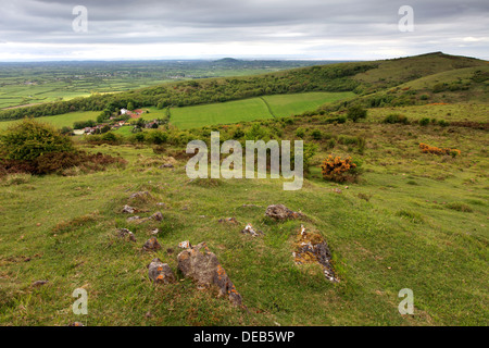 L'été, les hésitants, les niveaux de Somerset, Mendip Hills, comté de Somerset, England, UK Banque D'Images