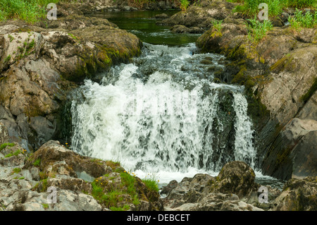 Cenarth Falls, Cenarth, Ceredigion, pays de Galles Banque D'Images