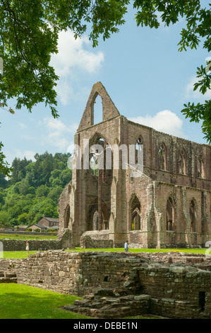 Abbaye de Tintern, Monmouthshire, Wales Banque D'Images