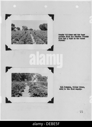 Des photographies, avec des légendes, de l'alimentation pour la liberté des activités pour l'effort de guerre, de l'Agence Carson 296185 Banque D'Images