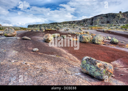 Paysage rocheux dans la région de Rago National Park, comté de Nordland, Norvège, Scandinavie, Europe Banque D'Images