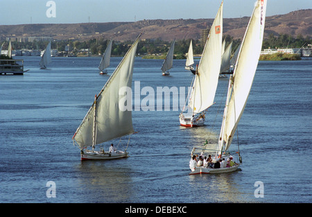 Le traditionnel égyptien feluka bateaux à voile sur le Nil à Assouan Banque D'Images