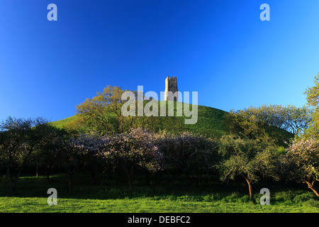 L'été, Glastonbury Tor, St Michael's Tower, Somerset Levels, comté de Somerset, England, UK Banque D'Images