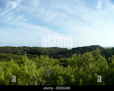 L'île de Porquerolles, près des Gorges du Loup, Var, Provence-Alpes-Cote d Azur, France, Europe Banque D'Images