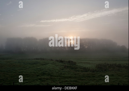 Un magnifique lever de soleil brumeux au début de l'automne dans la campagne de Herefordshire, au Royaume-Uni Banque D'Images