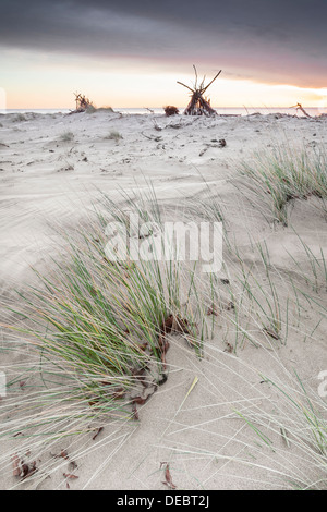 Masque en bois flotté à l'aube sur la plage de St Cyrus dans l'Aberdeenshire, Ecosse Banque D'Images