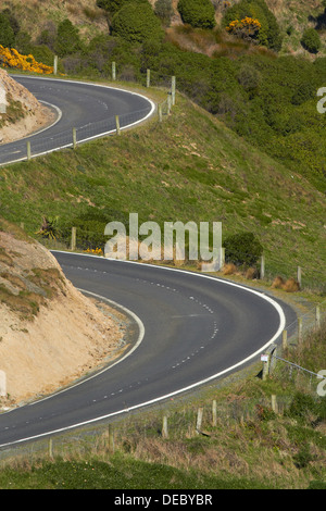 Route de Taiaroa Head, péninsule d'Otago, Dunedin, Otago, île du Sud, Nouvelle-Zélande Banque D'Images