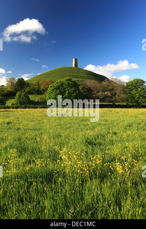 L'été, Glastonbury Tor, St Michael's Tower, Somerset Levels, comté de Somerset, England, UK Banque D'Images