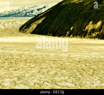 Les glaciers de l'Alaska Banque D'Images