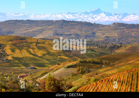 Voir l'automne de vignes et la montagne enneigée pics sur contexte en Piémont, Italie du Nord. Banque D'Images