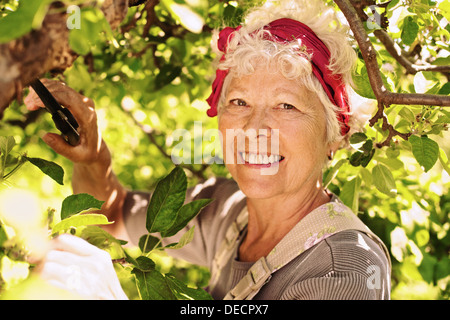 Aîné heureux woman pruning tree in yard - Senior female gardener travaillant dans le jardin Banque D'Images