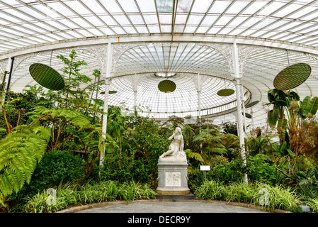 À l'intérieur de Kibble Palace, jardins botaniques de Glasgow, Écosse, Royaume-Uni Banque D'Images