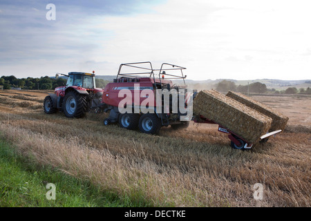 Un tracteur Massey Ferguson rouge et la ramasseuse-presse pressage de paille en pleine campagne. Banque D'Images