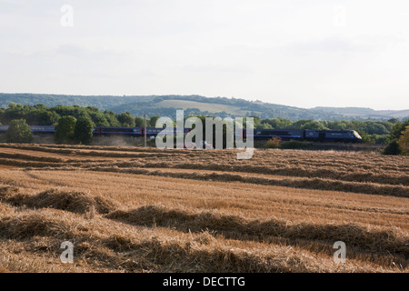 Un tracteur Massey Ferguson rouge et paille Ramasseuse-presse fonctionnant dans un champ moissonné. Un train passe par la grande vitesse. Banque D'Images