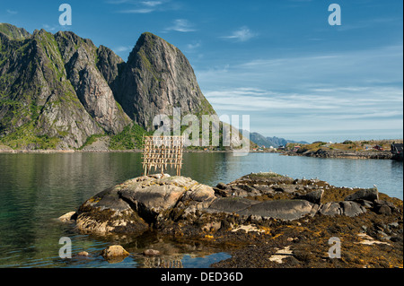 Flocon de séchage standard pour Stockfish dans les Lofoten Banque D'Images