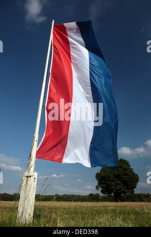 Hoppe Jardin, Allemagne, drapeau national de France Banque D'Images