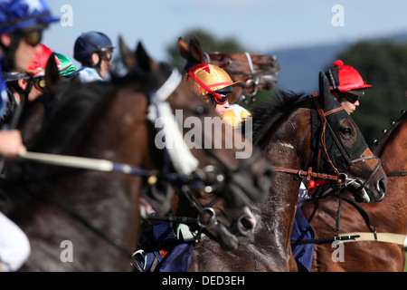 Iffezheim, Allemagne, chevaux et jockeys pendant une course de chevaux Banque D'Images