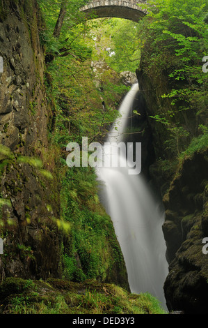 Aira Force, cascade dans le Parc National de Lake District Banque D'Images