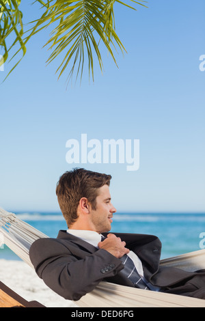 Businessman lying in hammock Banque D'Images