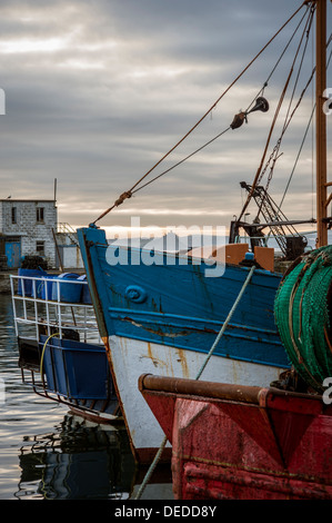 PENZANCE, CORNWALL, Royaume-Uni, - 09 JUIN 2009 : bateau peint de couleurs vives dans le port de Newlyn Banque D'Images