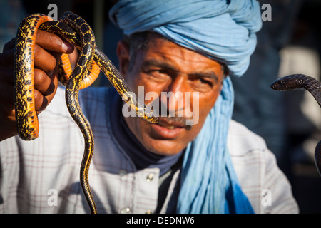 Charmeur de serpent, Place Djemaa el-Fna, la médina, Marrakech, Maroc, Afrique du Nord, Afrique Banque D'Images