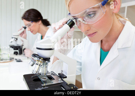 Chercheur scientifique ou médical des femmes ou d'un médecin à l'aide de son microscope dans un laboratoire avec son collègue derrière elle Banque D'Images