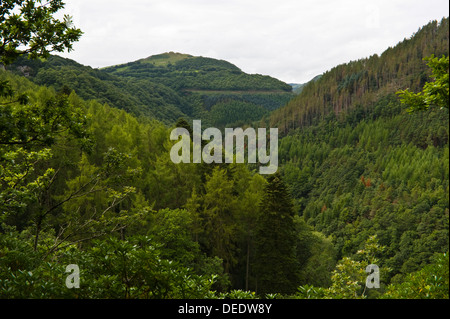 Vue depuis le sentier nature sur le sentier de l'échelle de Jacob dans la Gorge de Rheidol Pont du Diable près de Aberystwyth, Ceredigion West Wales UK Banque D'Images